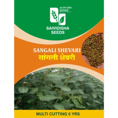 Sangli Shevari (Small Tree)