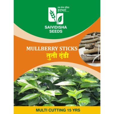 Mulberry Sticks (Small Tree)